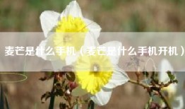 麦芒是什么手机（麦芒是什么手机开机）