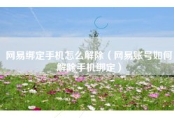 网易绑定手机怎么解除（网易账号如何解除手机绑定）