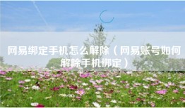 网易绑定手机怎么解除（网易账号如何解除手机绑定）