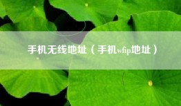 手机无线地址（手机wfip地址）