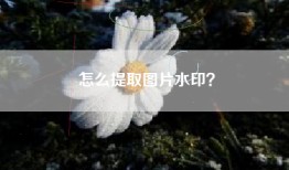 怎么提取图片水印？