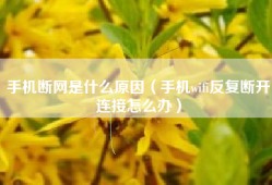 手机断网是什么原因（手机wifi反复断开连接怎么办）