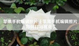 苹果手机编辑照片（苹果手机编辑照片如何打马赛克）