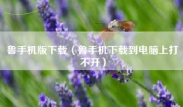 鲁手机版下载（鲁手机下载到电脑上打不开）