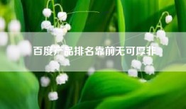 百度产品排名靠前无可厚非