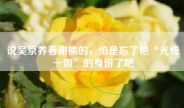 说吴京养着谢楠的，怕是忘了她“光线一姐”的身份了吧