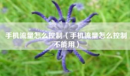 手机流量怎么控制（手机流量怎么控制不能用）