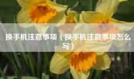 换手机注意事项（换手机注意事项怎么写）