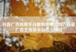 抖音广告投放平台都有哪些公司？抖音广告主投放平台怎么赚钱