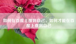 如何在百度上搜到自己，如何才能在百度上查到自己