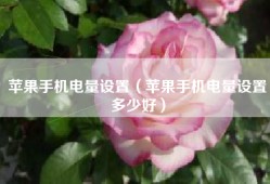 苹果手机电量设置（苹果手机电量设置多少好）