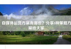 自媒体运营方案有哪些？分享8种策略方案给大家