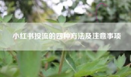 小红书投流的四种方法及注意事项