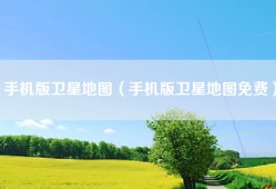 手机版卫星地图（手机版卫星地图免费）