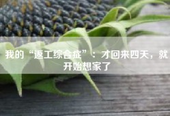 我的“返工综合症”：才回来四天，就开始想家了