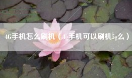 4G手机怎么刷机（4g手机可以刷机5g么）