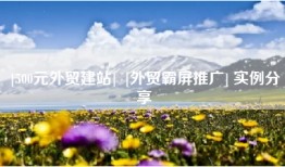 [500元外贸建站]  [外贸霸屏推广] 实例分享
