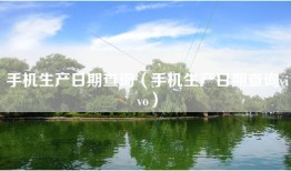 手机生产日期查询(手机生产日期查询vivo)