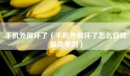 手机外屏坏了（手机外屏坏了怎么自修最简单的）