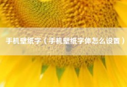 手机壁纸字（手机壁纸字体怎么设置）