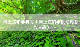 网上注销手机号（网上注销手机号码怎么注销）