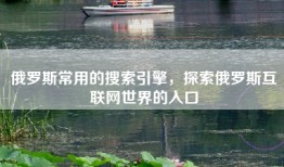 俄罗斯常用的搜索引擎，探索俄罗斯互联网世界的入口