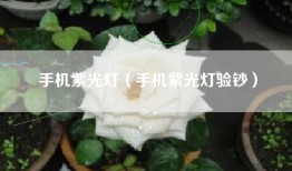 手机紫光灯（手机紫光灯验钞）
