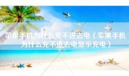 苹果手机为什么充不进去电（苹果手机为什么充不进去电显示充电）