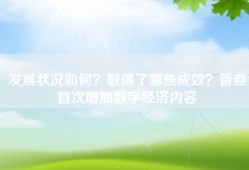 发展状况如何？取得了哪些成效？普查首次增加数字经济内容