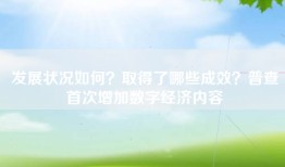 发展状况如何？取得了哪些成效？普查首次增加数字经济内容