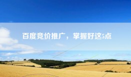 百度竞价推广，掌握好这5点