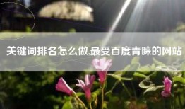 关键词排名怎么做,最受百度青睐的网站