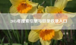 2015年搜索引擎与目录收录入口