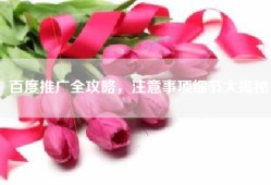 百度推广全攻略，注意事项细节大揭秘