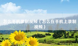 怎么手机录制视频（怎么在手机上录制视频）