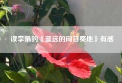 读李娟的《遥远的向日葵地》有感