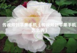传视频到苹果手机（传视频到苹果手机怎么弄）