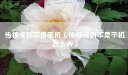 传视频到苹果手机（传视频到苹果手机怎么弄）
