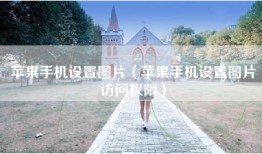 苹果手机设置图片（苹果手机设置图片访问权限）