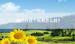 磁力片这个玩具怎么样？