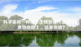 科学家将一种原生生物放在代表城市的食物地图上，结果你猜？
