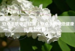 安卓手机电池检测（安卓手机电池健康度怎么看）