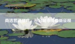 商洛营销推广，开启城市发展新征程