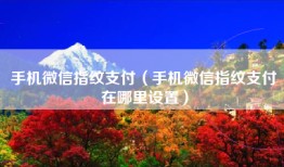 手机微信指纹支付（手机微信指纹支付在哪里设置）