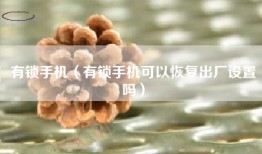 有锁手机（有锁手机可以恢复出厂设置吗）