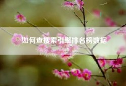如何查搜索引擎排名榜数据