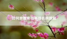 如何查搜索引擎排名榜数据