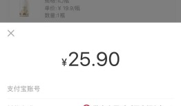 数字人民币你想知道的，我们都体验了