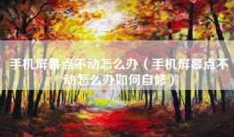 手机屏幕点不动怎么办（手机屏幕点不动怎么办如何自修）
