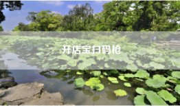 开店宝扫码枪